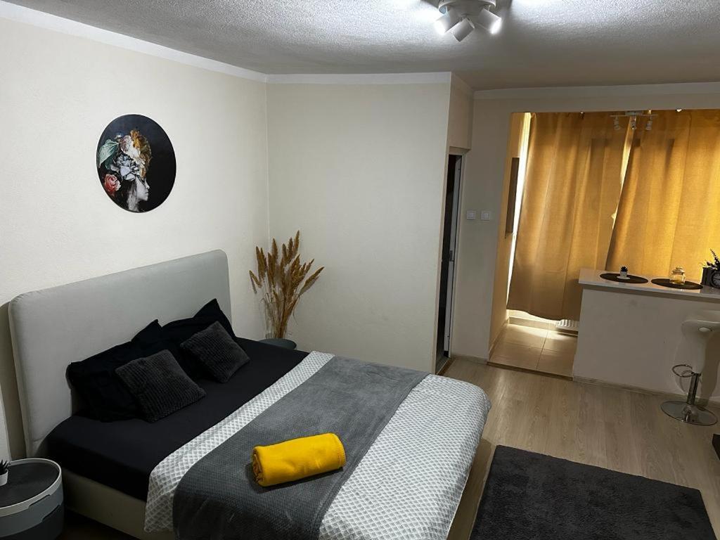 Reeas Apartament Timisoara Exterior foto