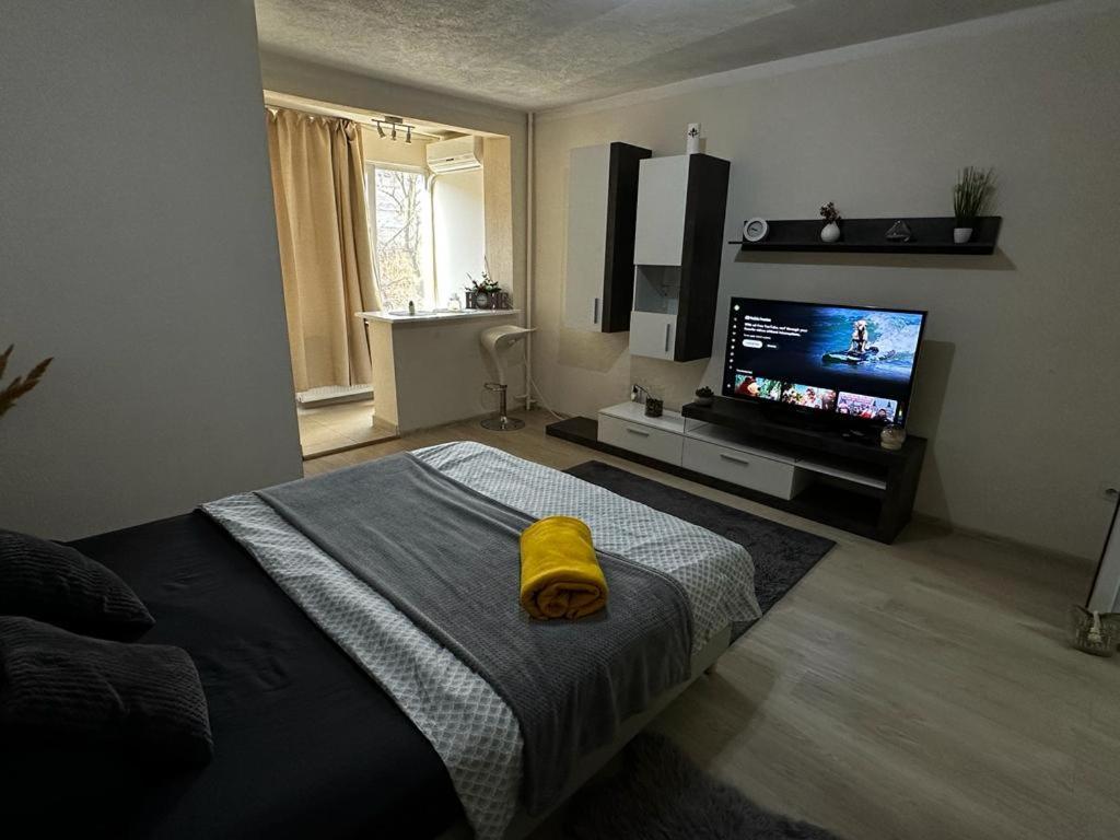 Reeas Apartament Timisoara Exterior foto