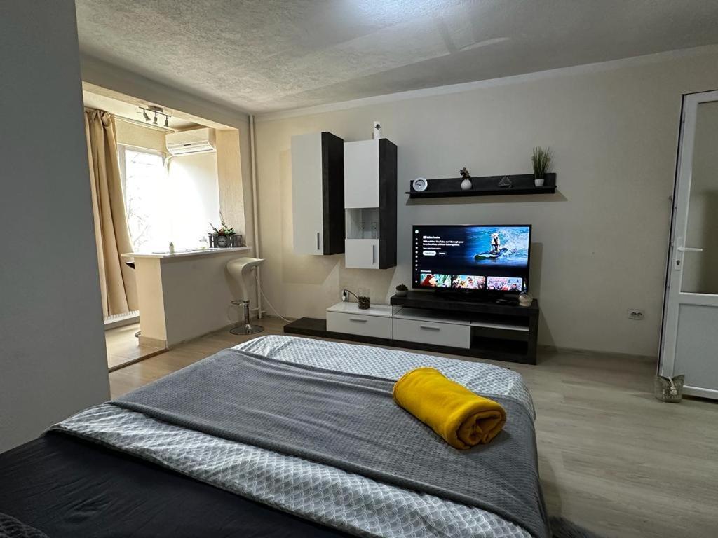 Reeas Apartament Timisoara Exterior foto