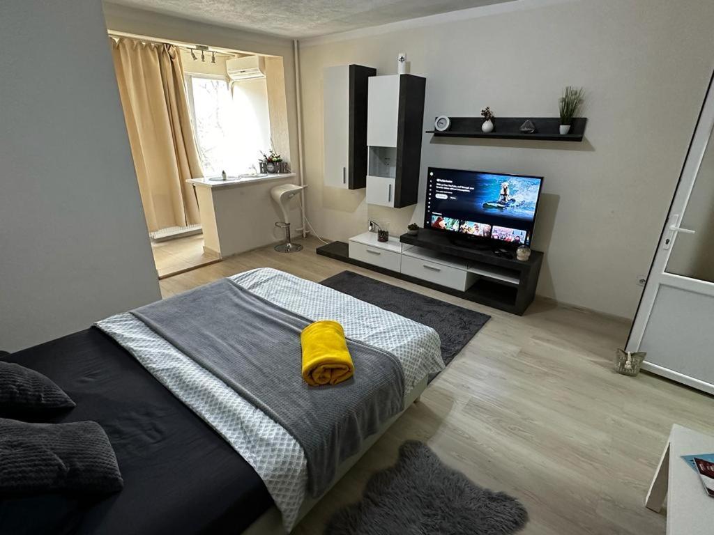 Reeas Apartament Timisoara Exterior foto
