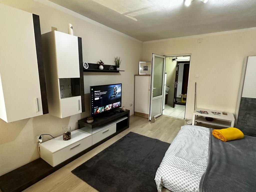 Reeas Apartament Timisoara Exterior foto