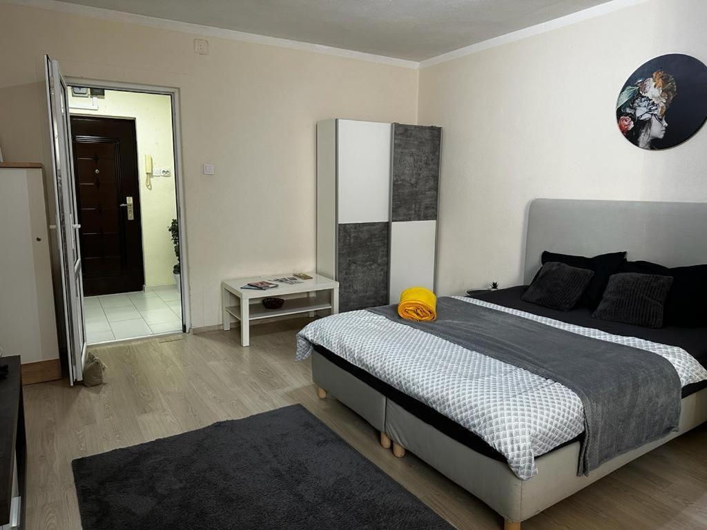 Reeas Apartament Timisoara Exterior foto