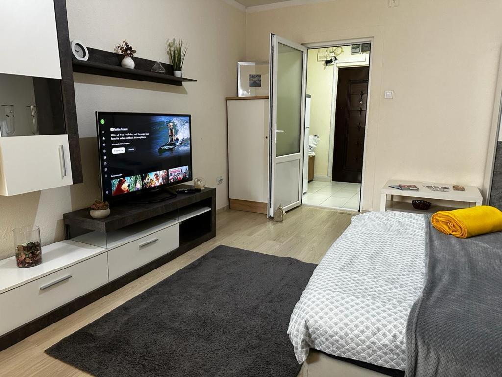 Reeas Apartament Timisoara Exterior foto